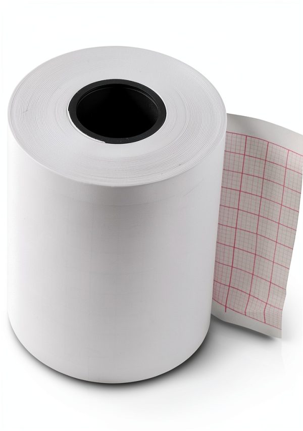 Thermal Print Paper Denshine 2 Rolls for Patient Monitor 50mm x 20m-2